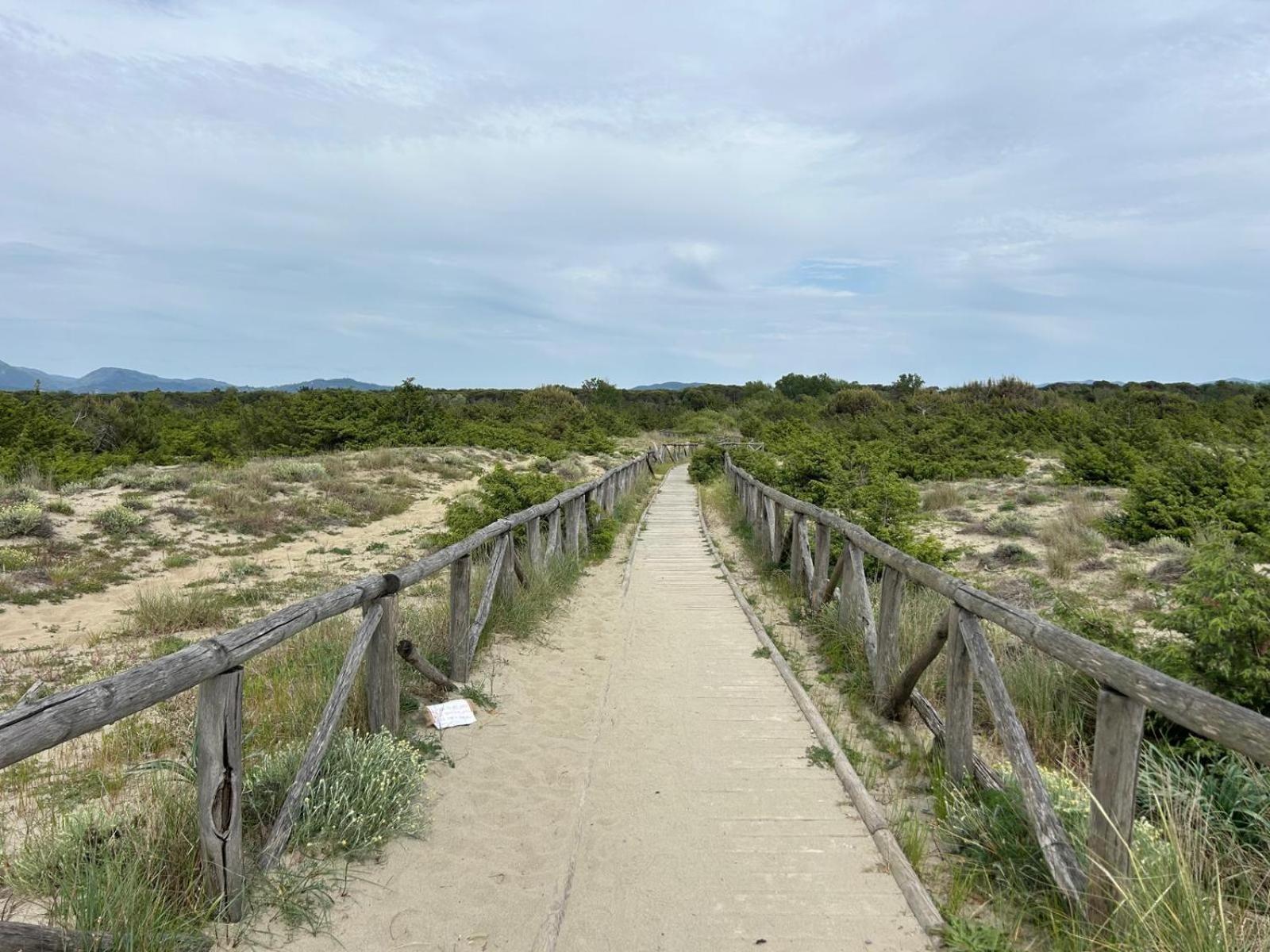 Il Mio Piccolo Angolo Di Mare Viareggio Extérieur photo